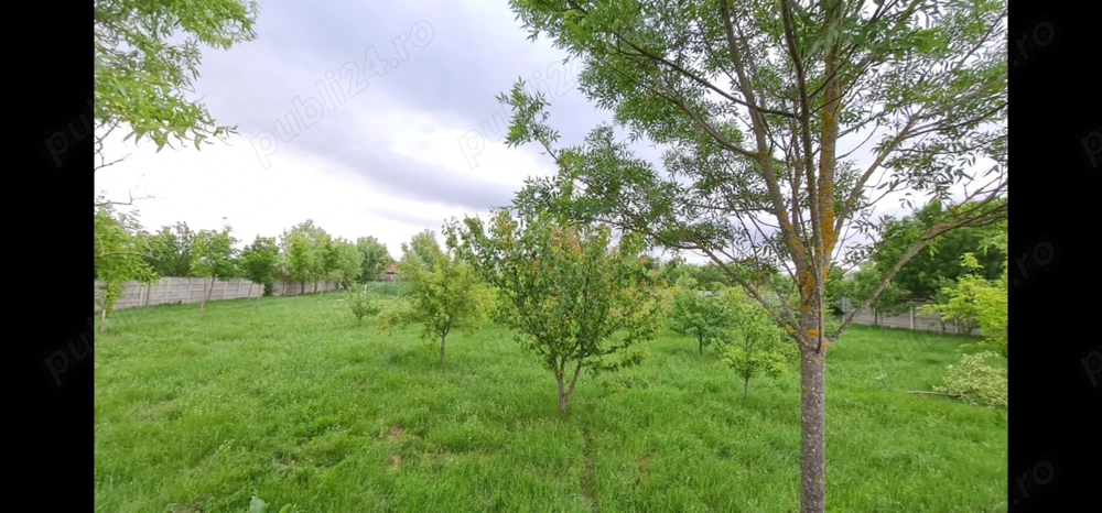 Teren pentru casa la 30 de min de Timisoara