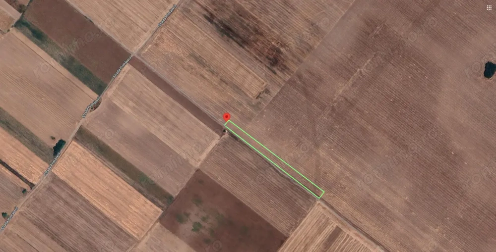 Teren Extravilan In Rate Primaverii Com. Berceni | 2670mp | #EG52