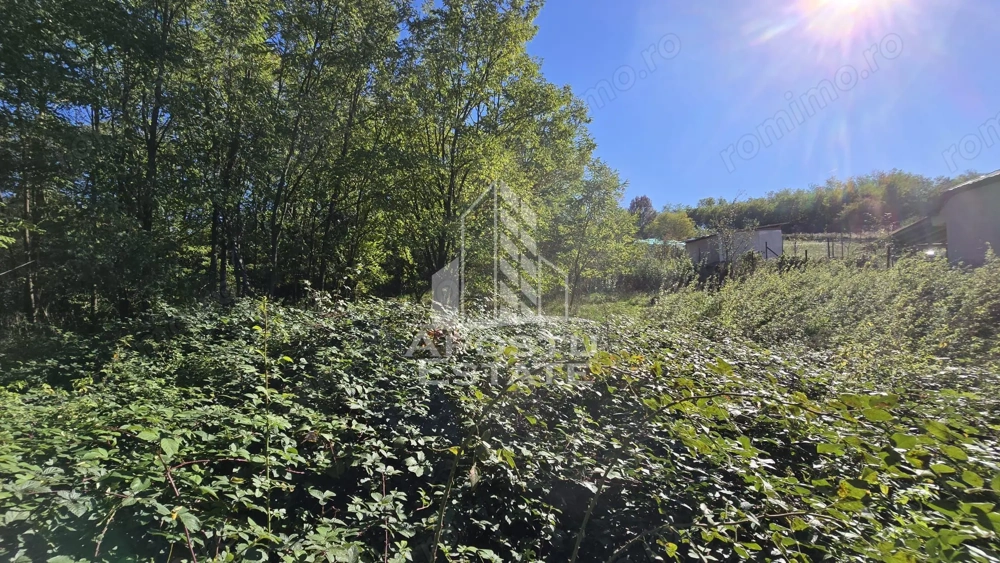 Teren Intravilan Cuied 3260 mp Comision Zero %