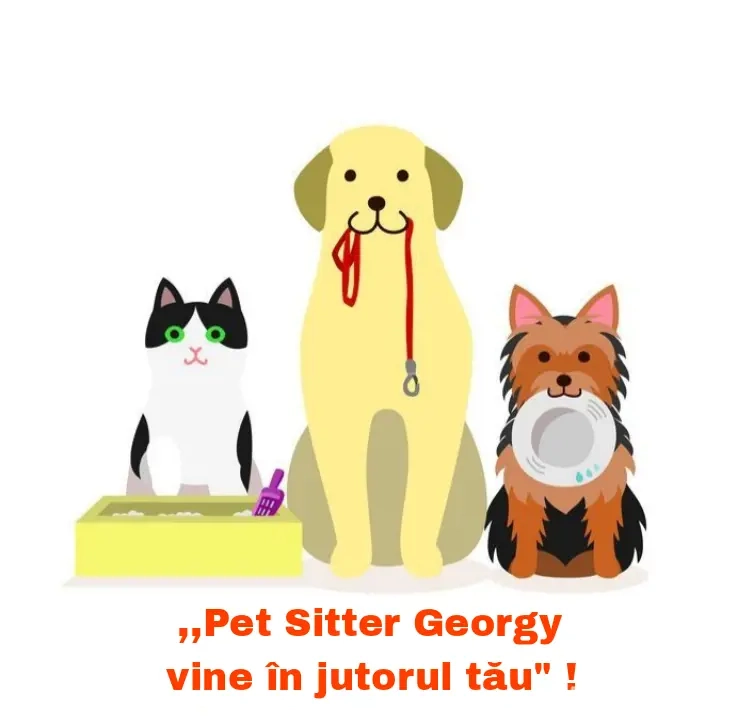 Pet Sitter 