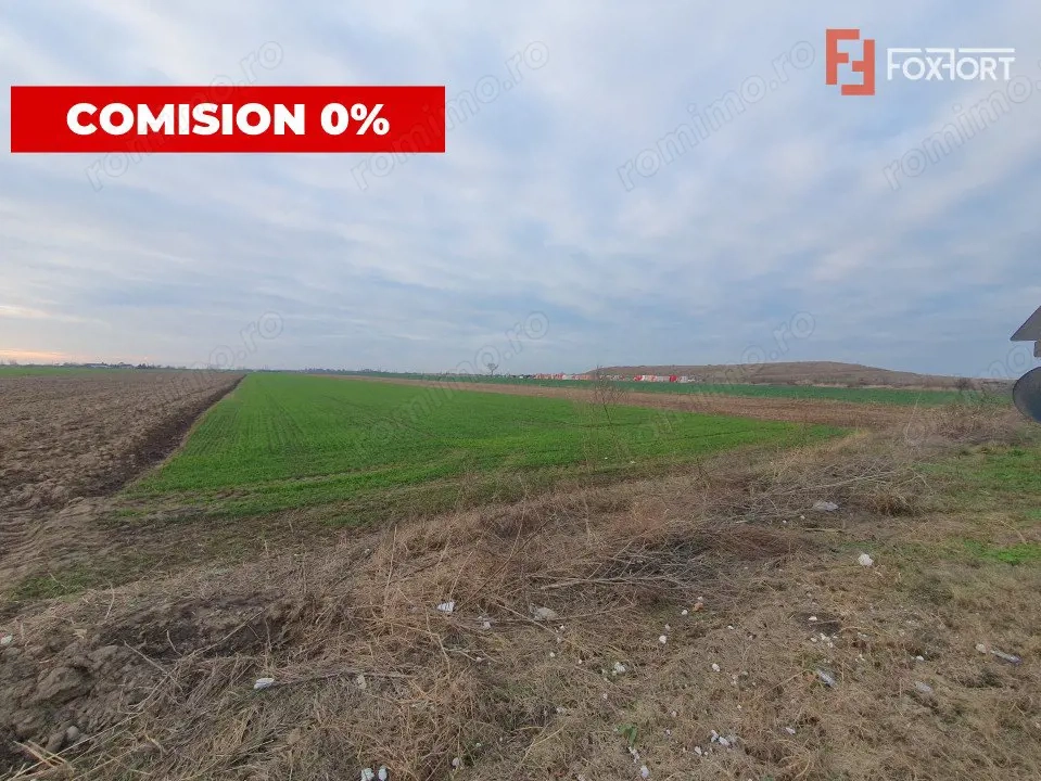 COMISION 0% Teren extravilan agricol 10.000 mp la sosea in Sag