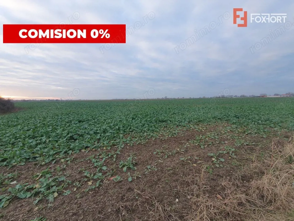 COMISION 0% Teren extravilan 20.000 mp la sosea in Sag 