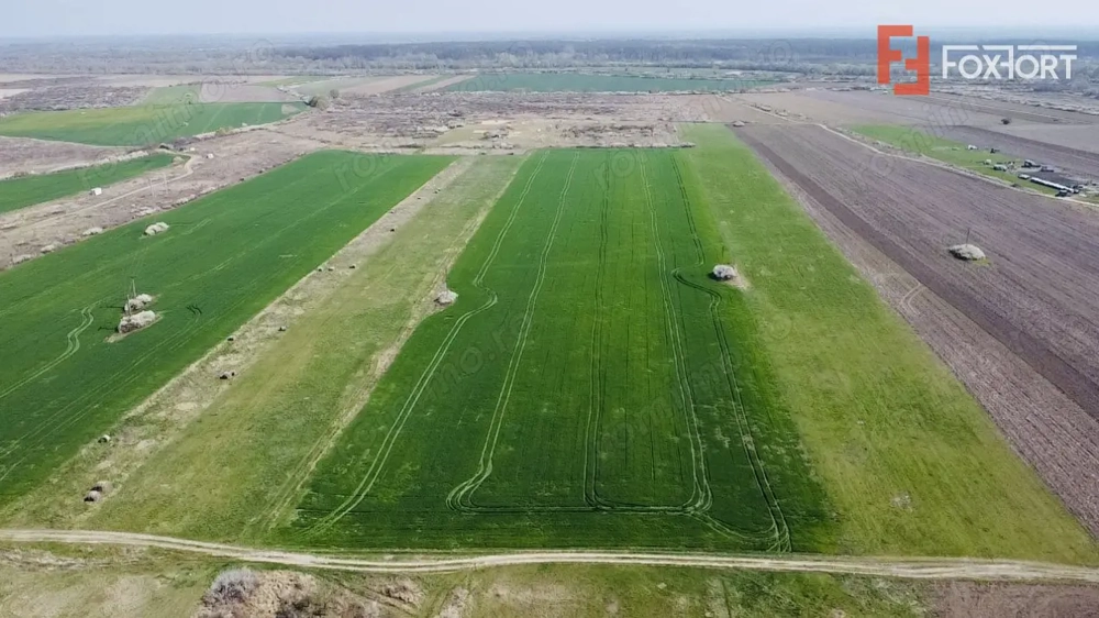 COMISION 0% Teren Extravilan 10.000 mp, Front 15,6ml, Langa Padurea Giroc