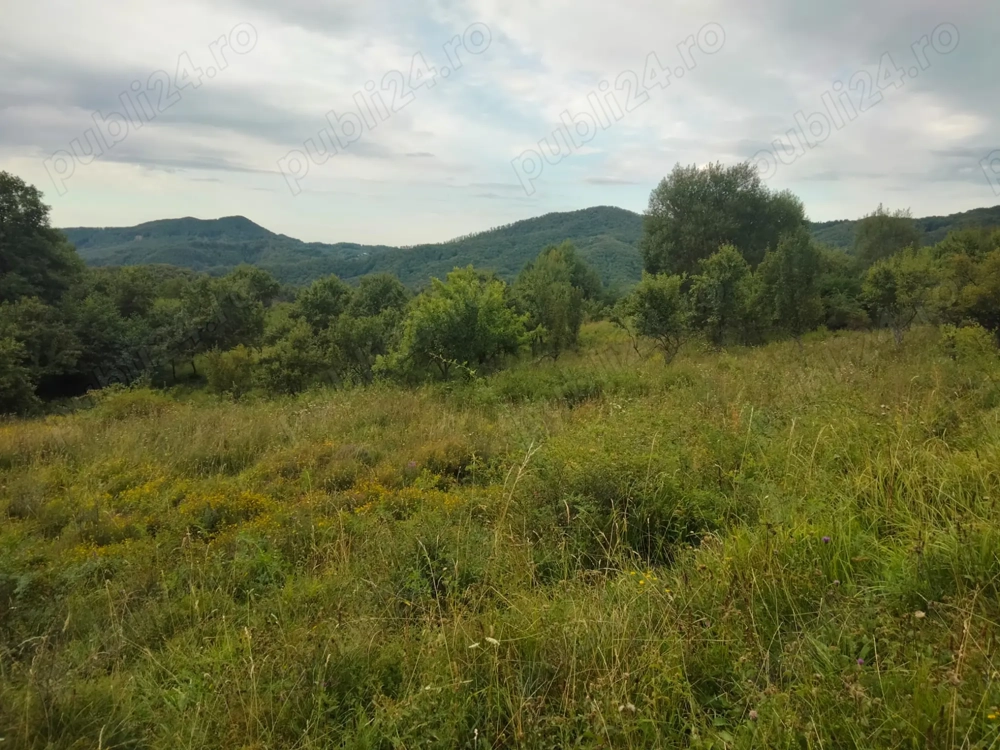 Vând teren extravilan - Comanca (Băile Olanesti)
