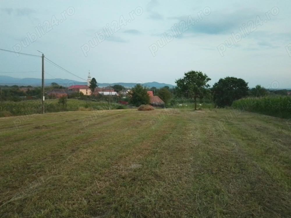 Pamant  teren de vanzare intravilan Pamant  teren de vanzare intravilan