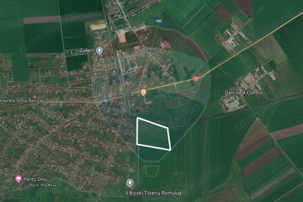 Teren extravilan cu iesire la drumul principal- Pecica, Arad