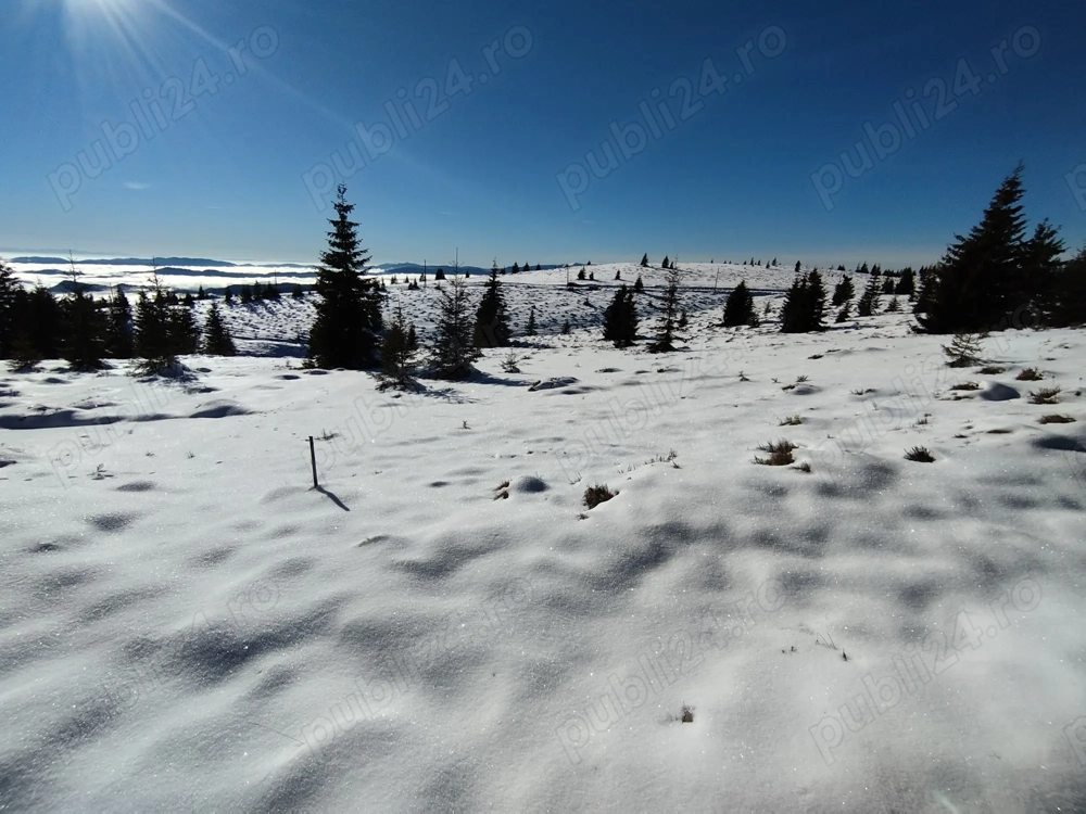 Vand teren intravilan 2666 mp comuna Horea Alba langa varful Petreasa 1600m altitudine