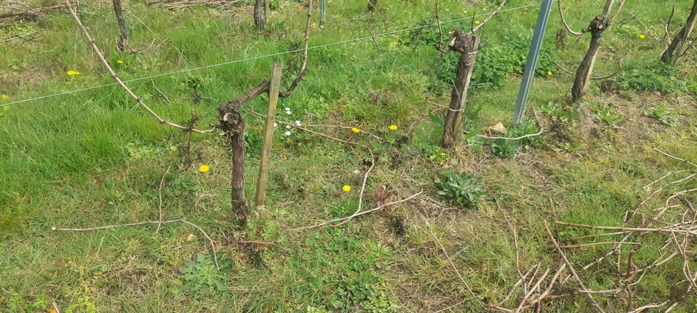 Angajari Taiat La Vie (in Franta) Angajari Taiat La Vie (in Franta)