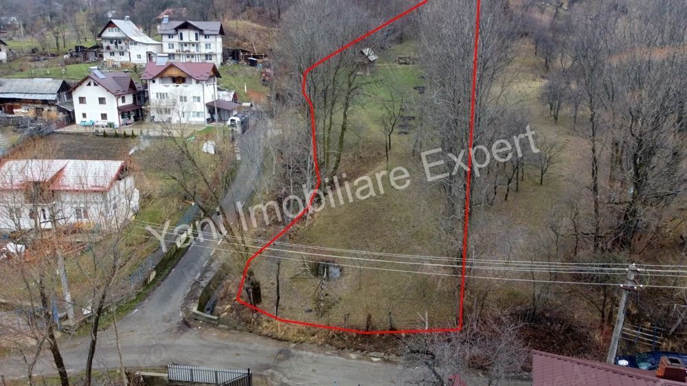 Teren de vânzare în comuna Arefu, județ Argeș.