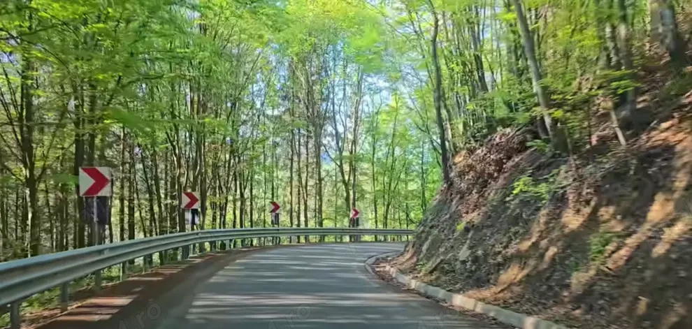 Vând Teren EXTRAVILAN TRANSPUSEANA 7548 mp-sat Măcărești, comuna Ponor