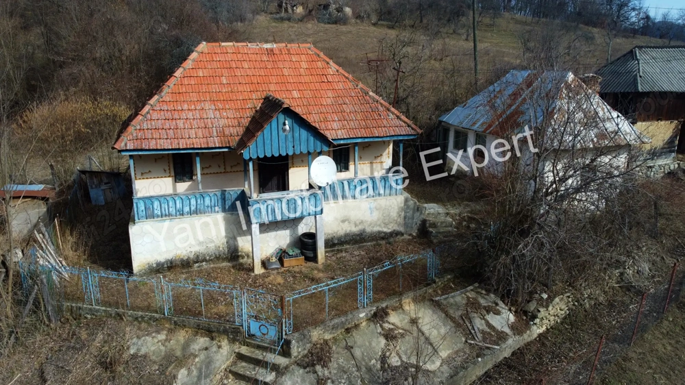 Casă bătrânească + 10.076 mp teren de vânzare în comuna Cepari, Județ Argeș.