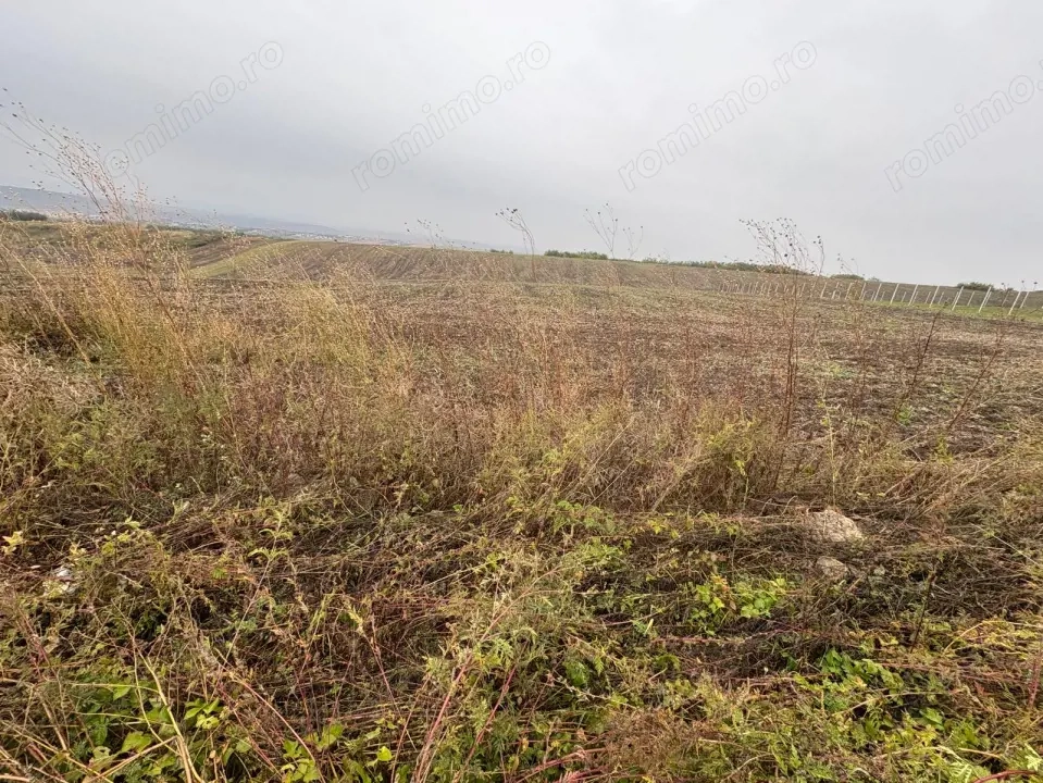 35euro/mp! Valea Lupului! Teren intravilan,28m l,oportunitate investitie!