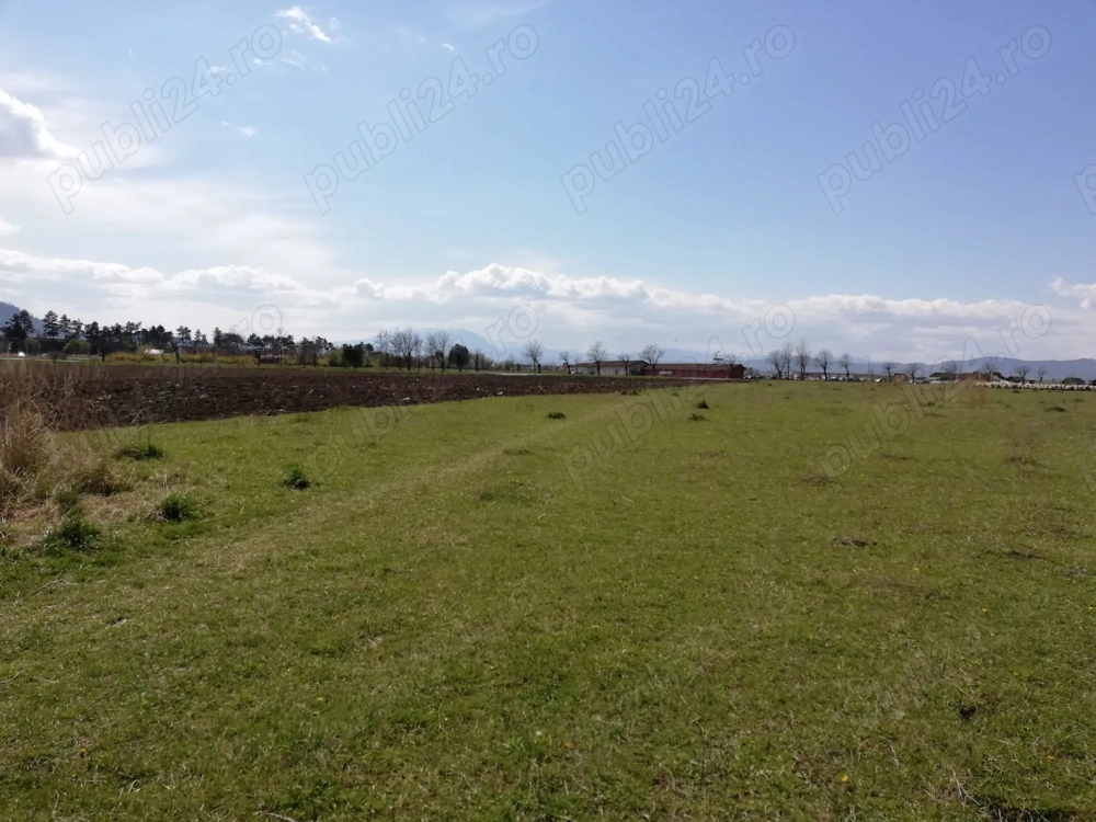 Vinzare teren construcții  intravilan 