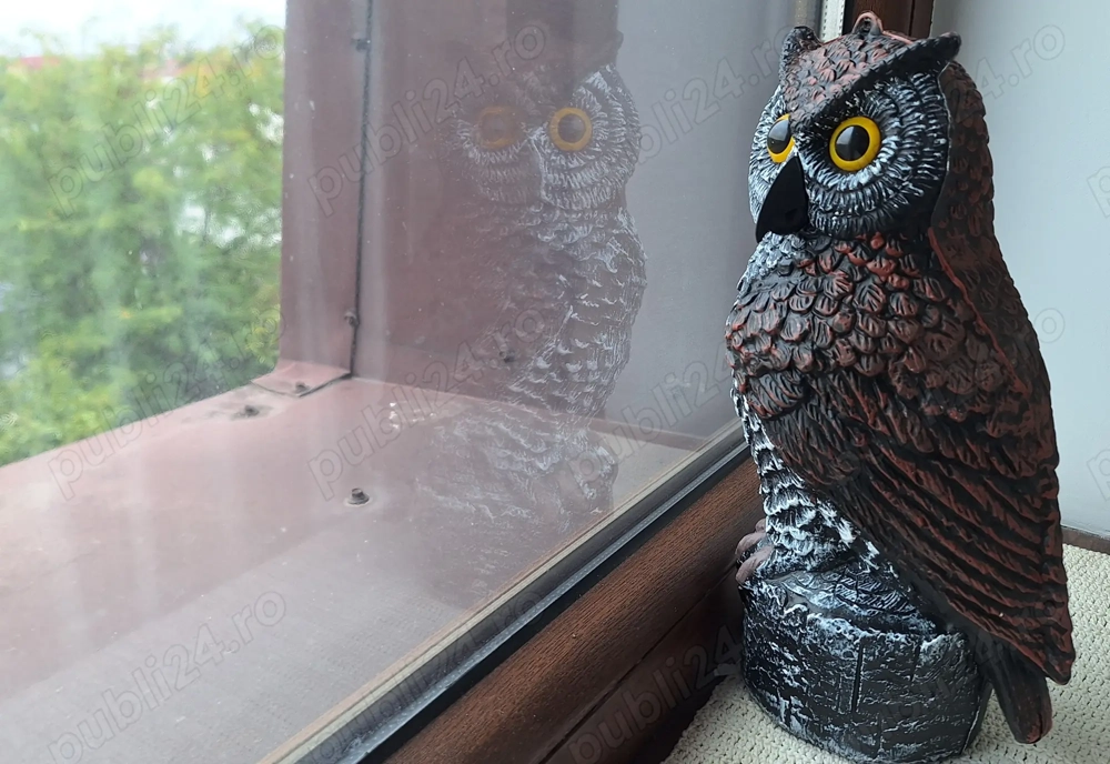 Sperietoare ciori si porumbei