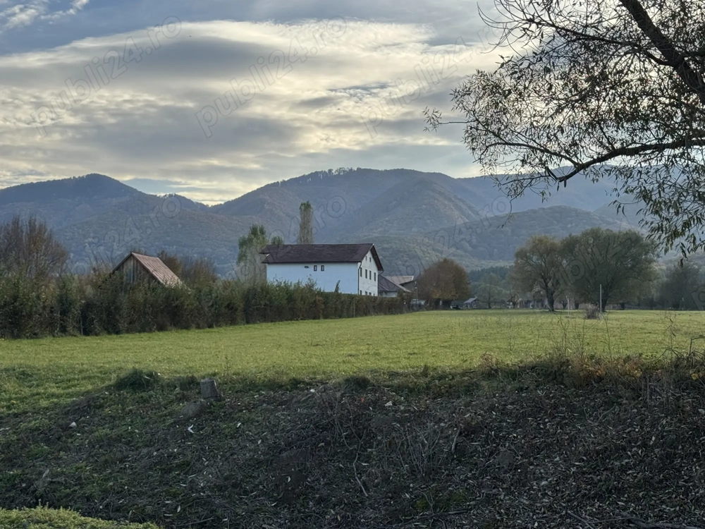 Teren intravilan Tocile Sadu 2000 mp