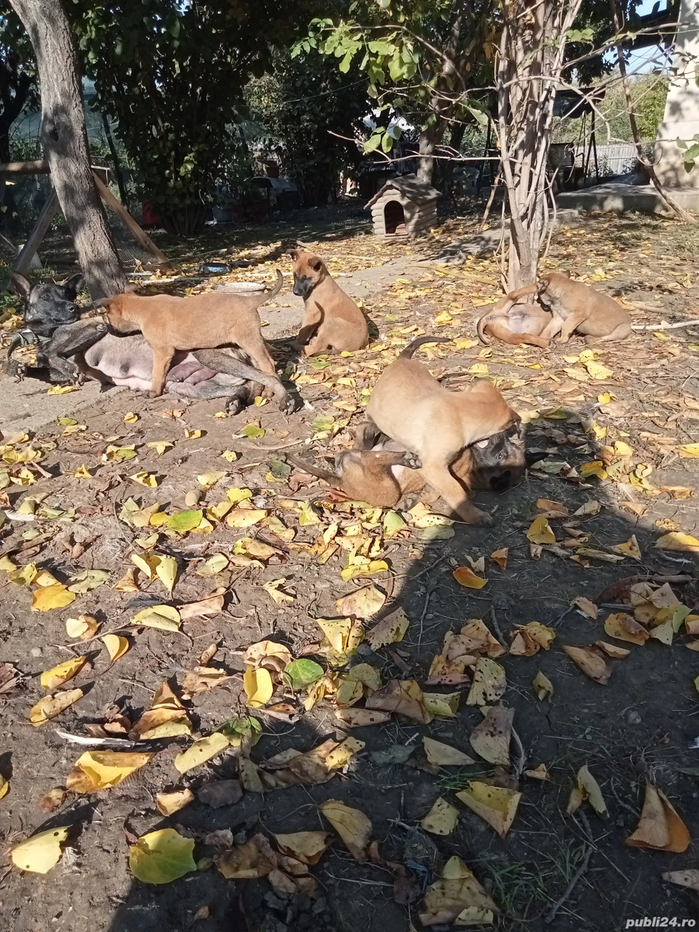 Disponibili Disponibili