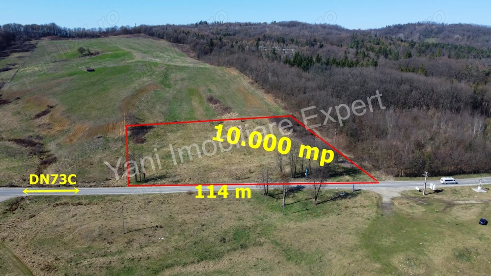 Teren 10.000 mp de vânzare în comuna Valea Iașului, județ Argeș.