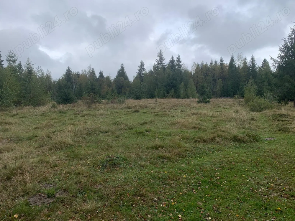 Teren extravilan, judet Cluj