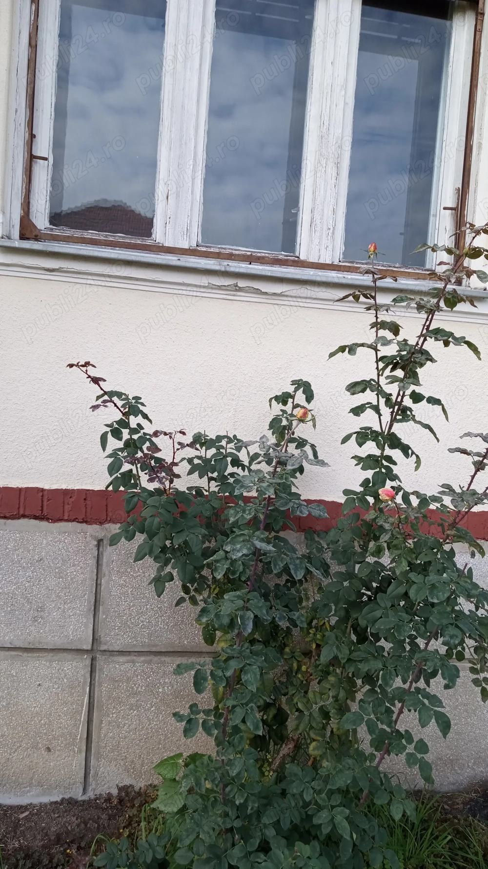 Casă cu 3 camere in centru, poziție deosebită, utilități complete