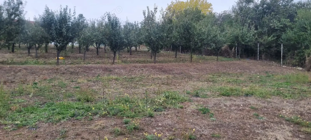 Vand teren Platou Targ- Valea Geamana, intravilan cu utilitati