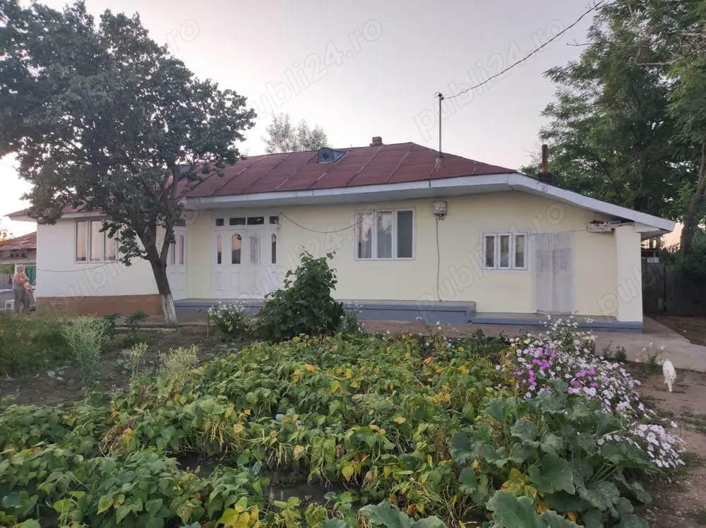 Casa bătrânească, cu teren generos 3500 m2