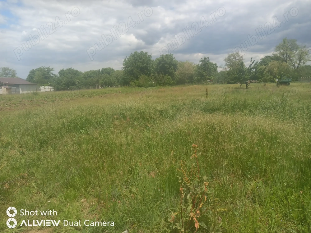 TEREN Intravilan- 1500mp la 10Km BUCURESTI, in Petrăchioaia, Ifov