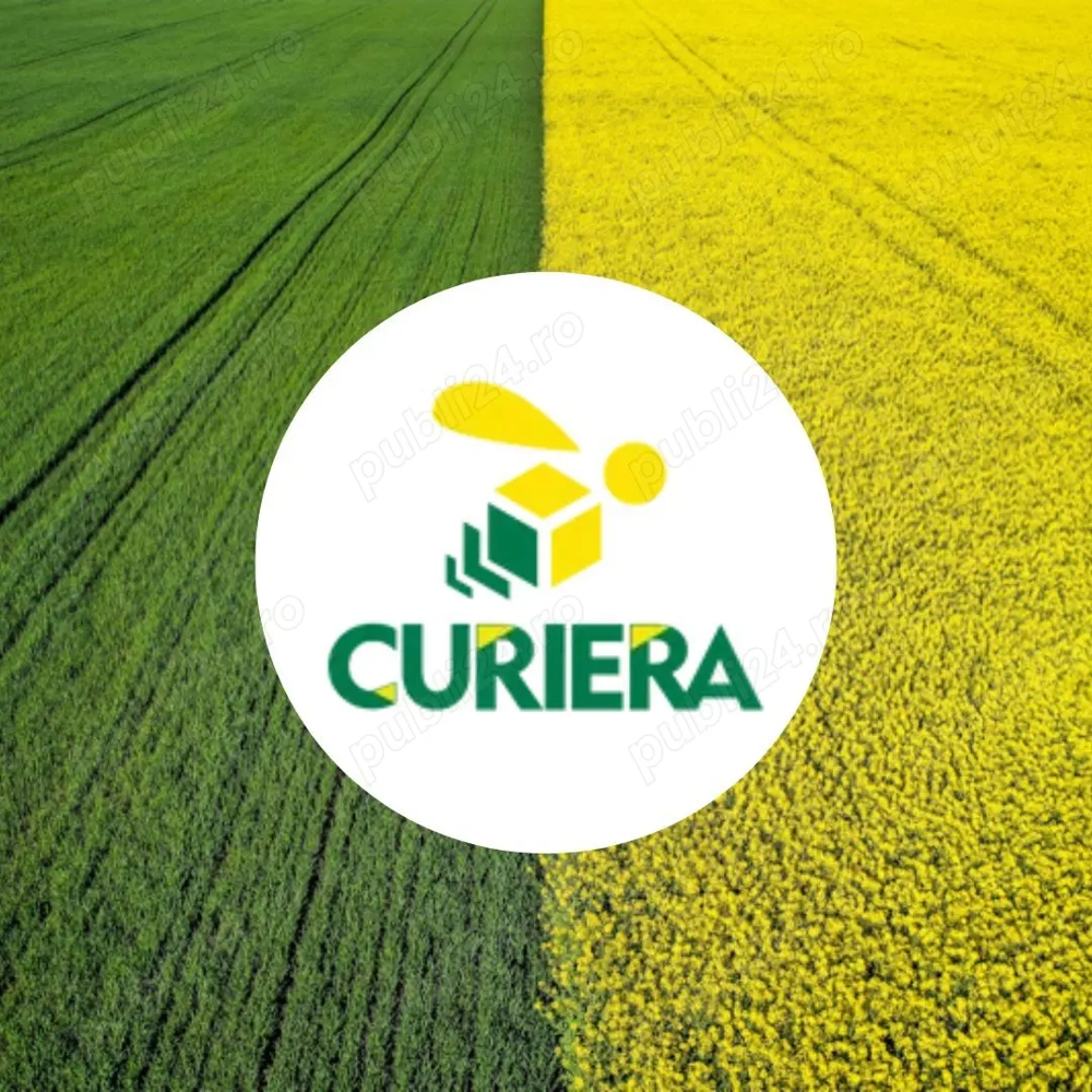 Angajam Curier livrari in Bucuresti