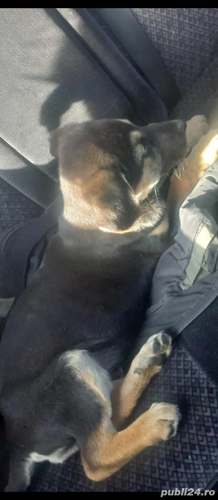 100euro mascul 100euro mascul