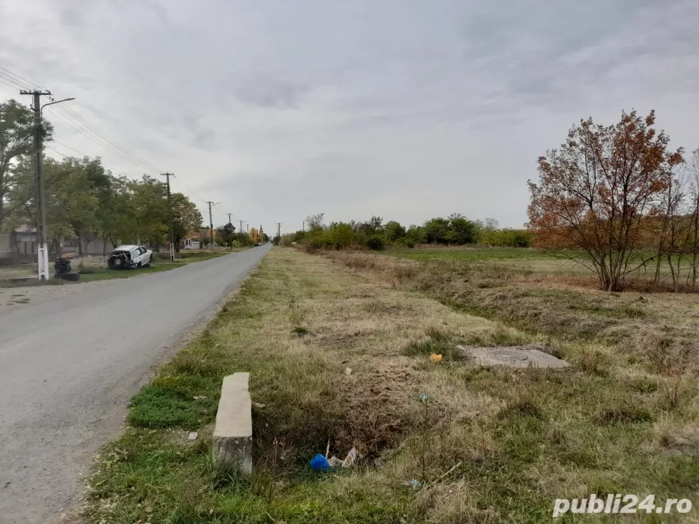 Teren de vanzare 