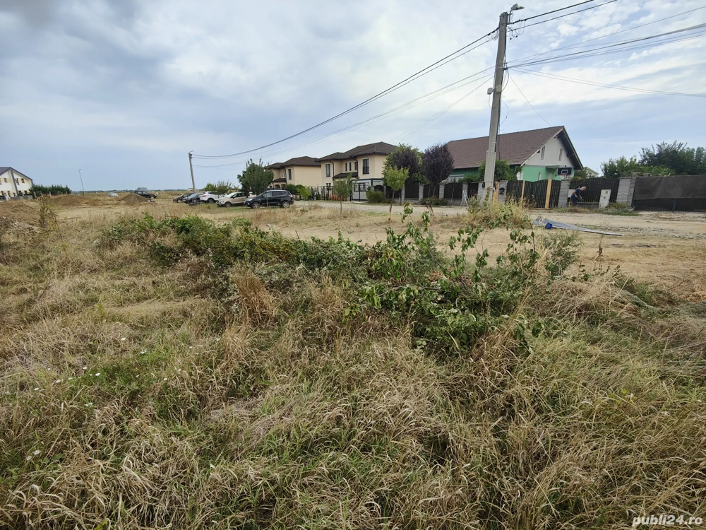 teren de vanzare mosnita 