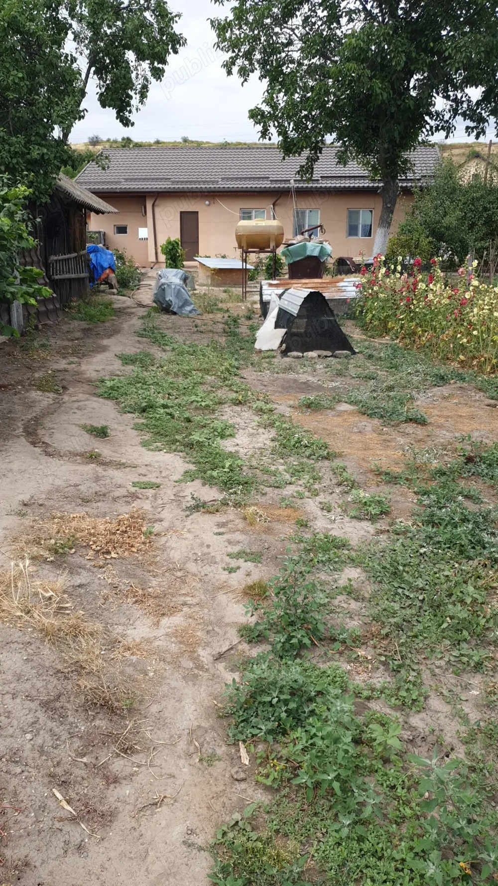 Vand Casa + teren com Seaca Vand Casa + teren com Seaca