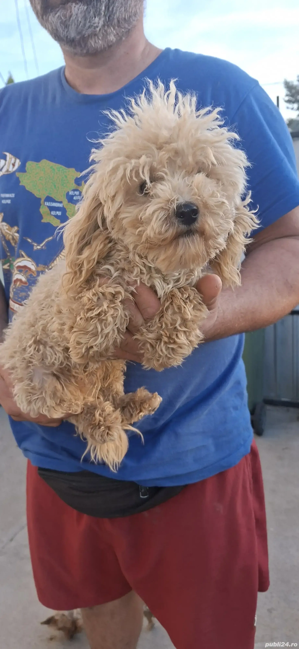 Putel talie extra toy