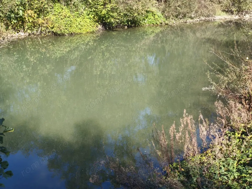 Teren imprejmuit cu iaz indiguit, 7200mp, Fratautii Vechi, Radauti