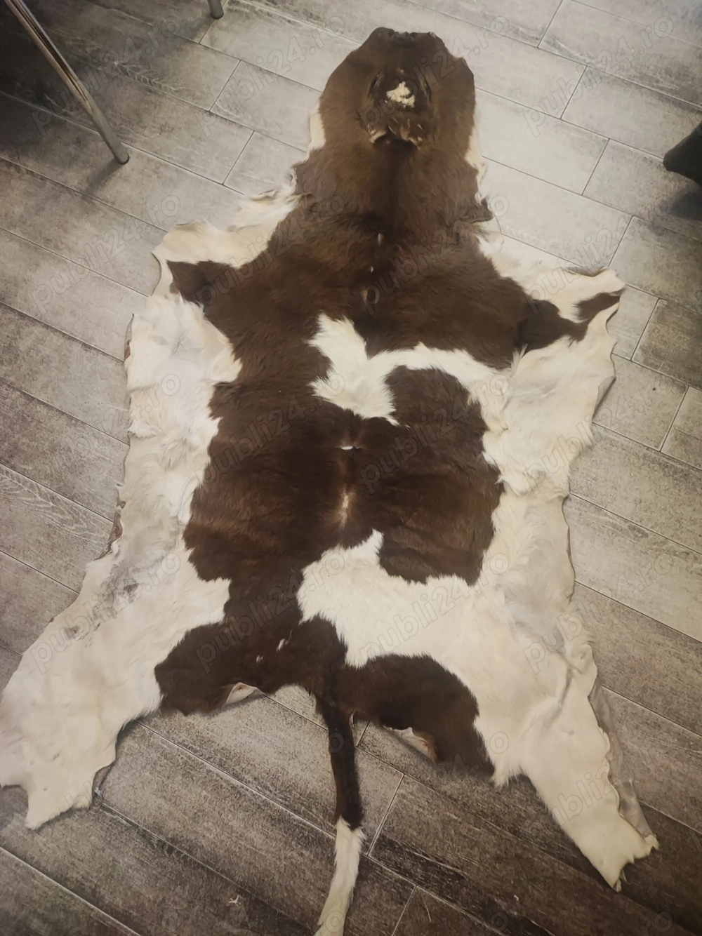 Vând piele de vițel