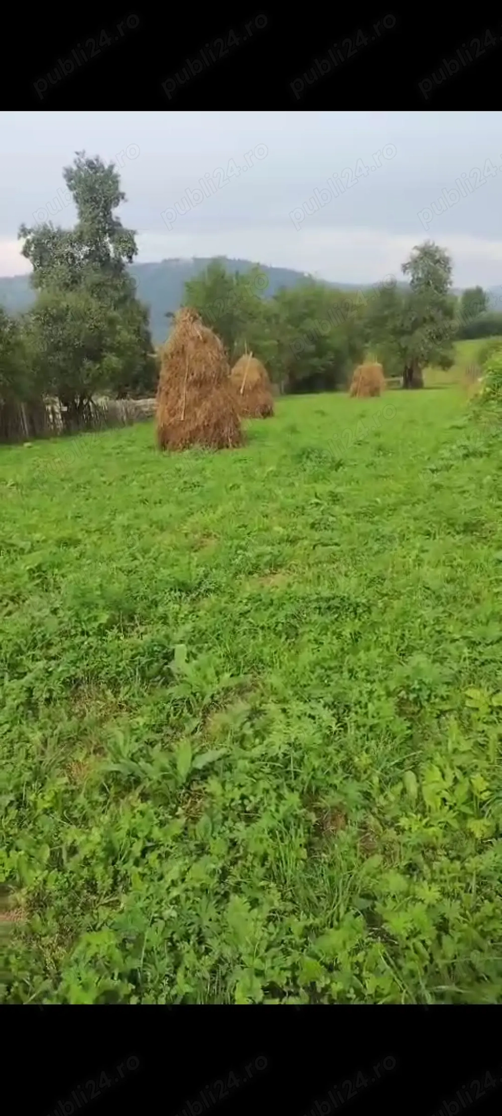 Vând teren intravilan 