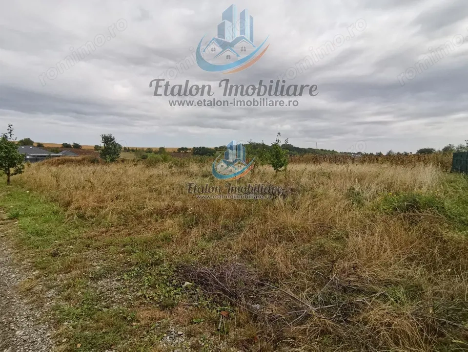 Teren drept 1260 mp, deschidere de 50 m, Loc. Dobreni, Jud Neamt