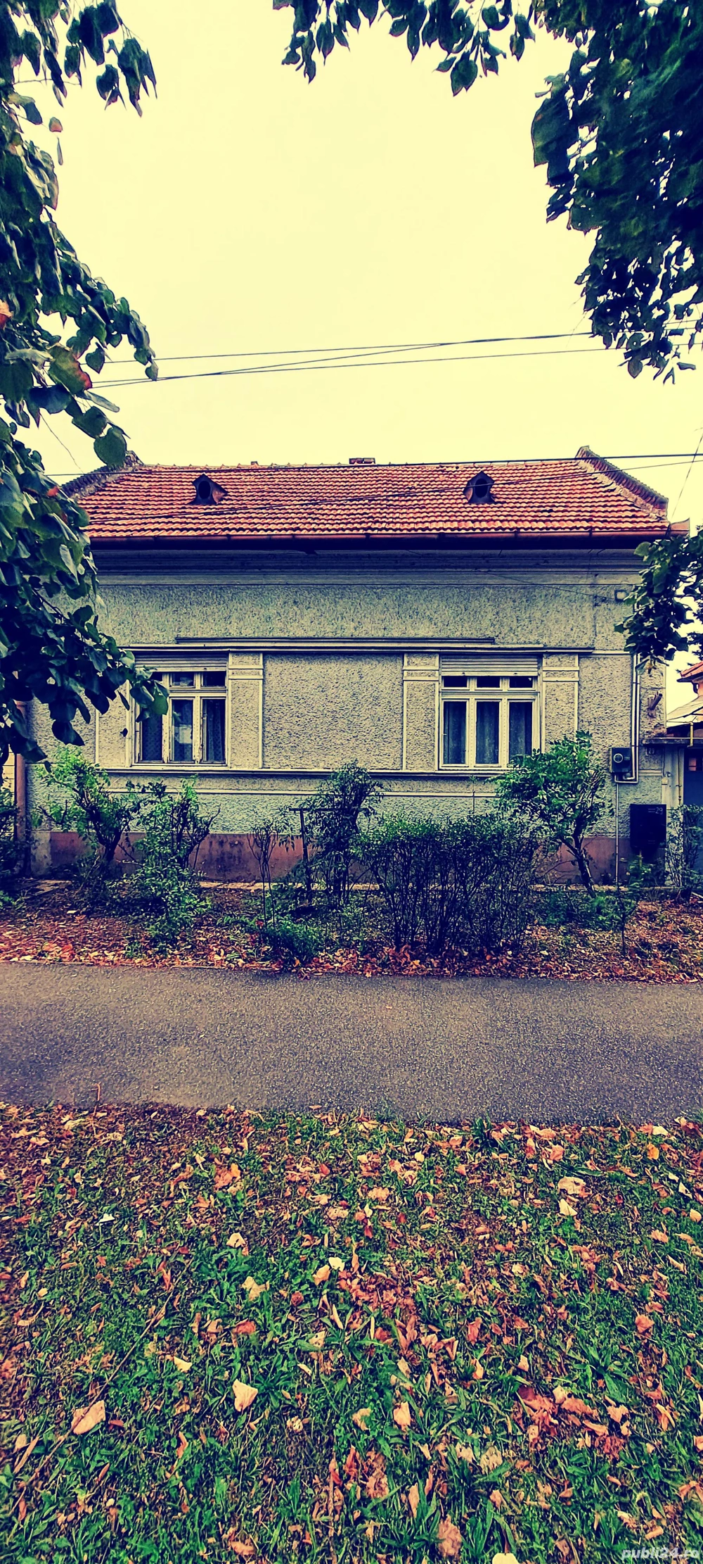 Vând casă 3 camere,singur în curte,  str. Horea,  s.t.= 500 m ,in Oradea  Vând casă 3 camere,singur în curte,  str. Horea,  s.t.= 500 m ,in Oradea