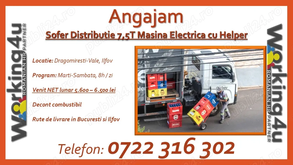 Sofer Distributie 7,5T Masina Electrica cu Helper