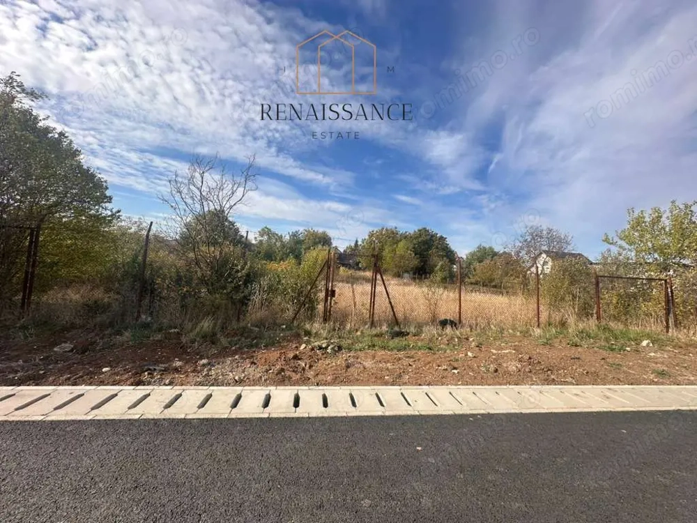 Giarmata Teren 1889mp Front 27.5m Pretabil Duplex/Triplex - Asfalt