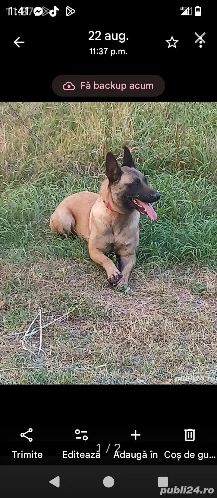 100 euro,mascul 100 euro,mascul