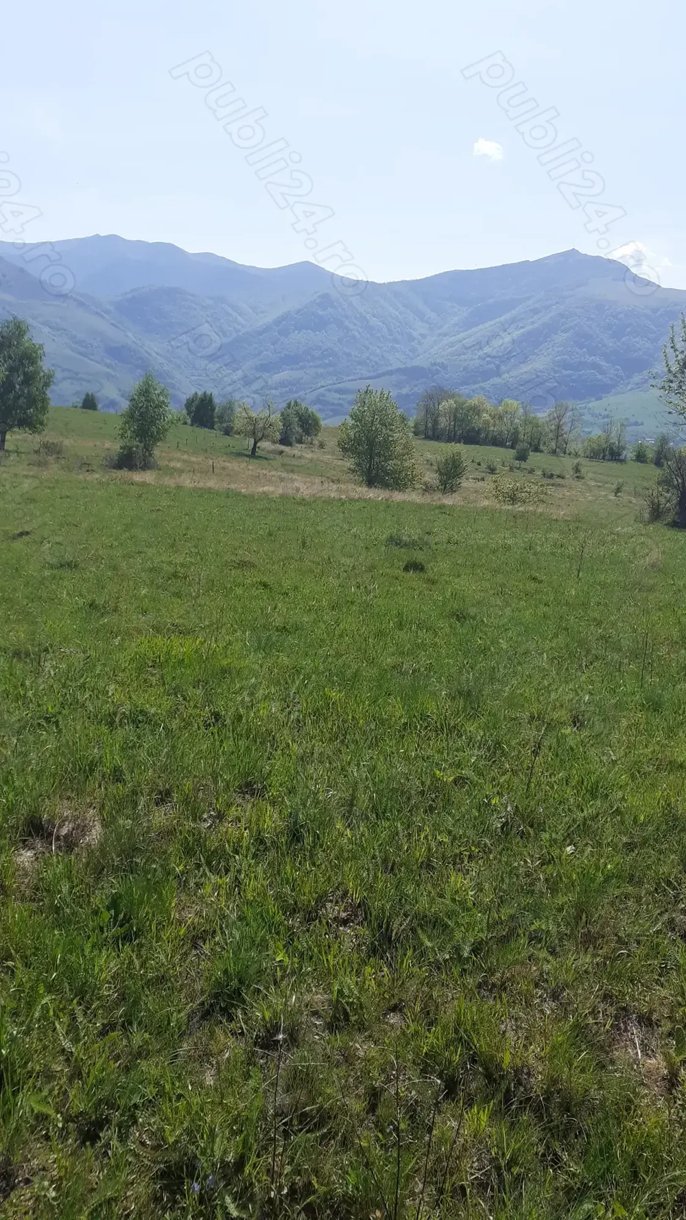 Caut femeie sau familie pt ingrijire batran