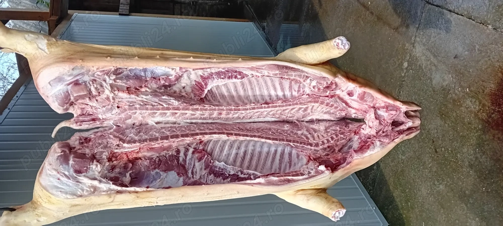 Vand carcasa de porc 