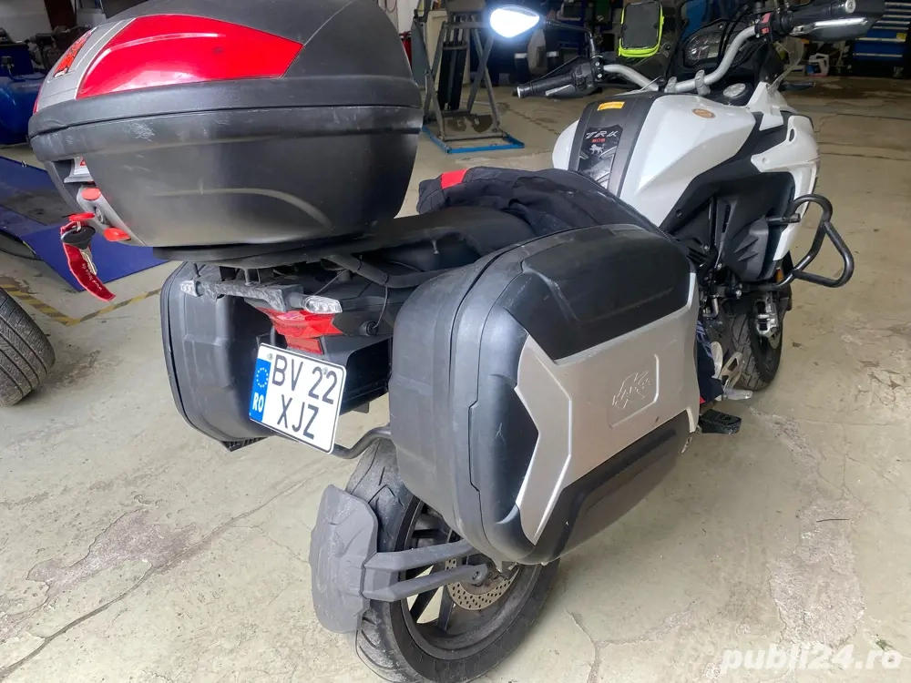 benellii 2019 benellii 2019