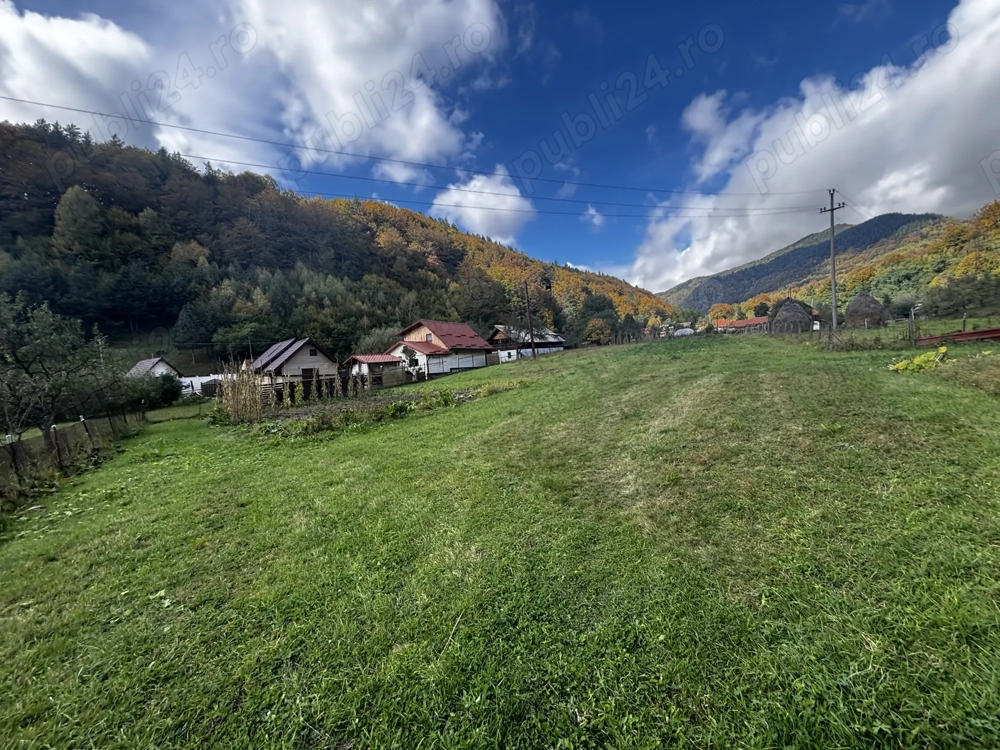 Teren intravilan de vânzare   3.000 mp, strada Mierleasa, Lupeni (Hunedoara)