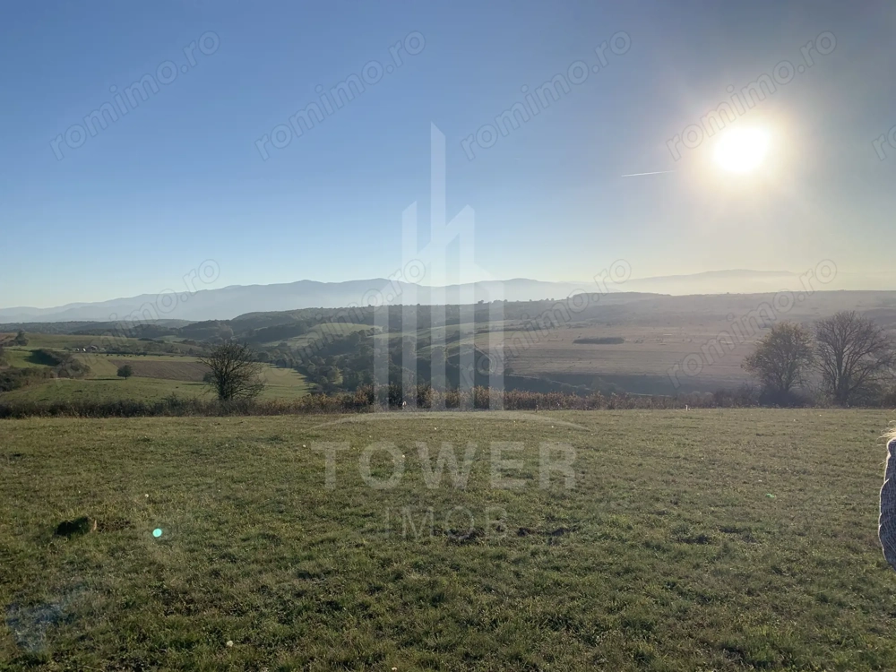 Teren pentru constructie cabana in Dealul Daii-parcele de 650 mp