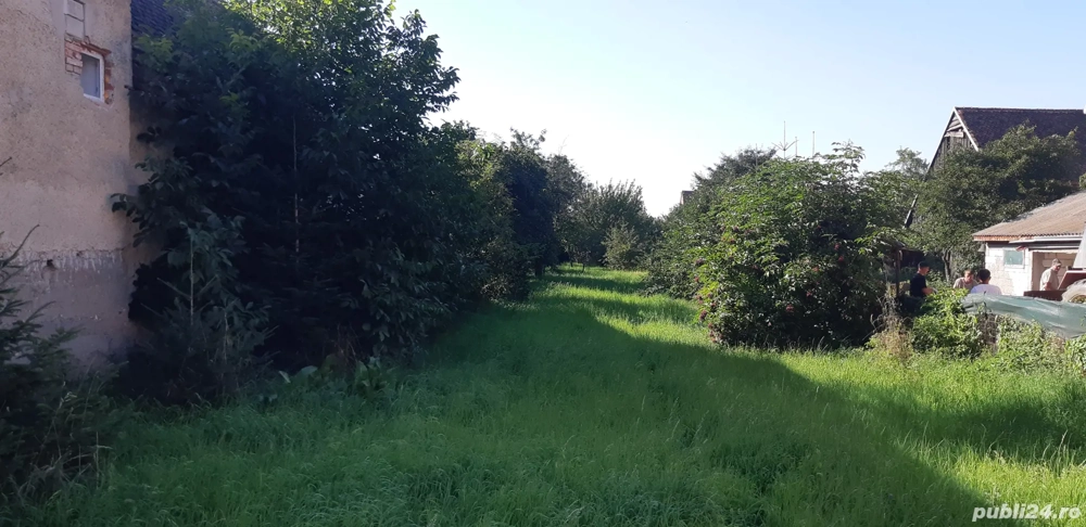 teren Târlungeni intre case 988mp 