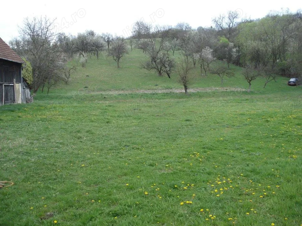 teren intravilan baciu suceagu 11000mp