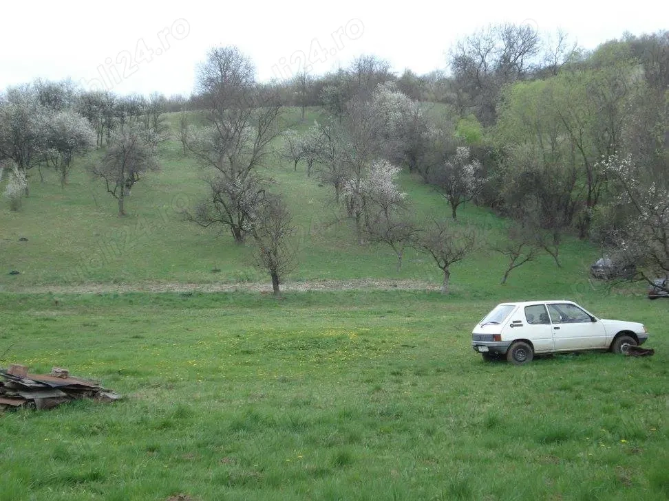 teren  intravilan suceagu baciu 1000 mp