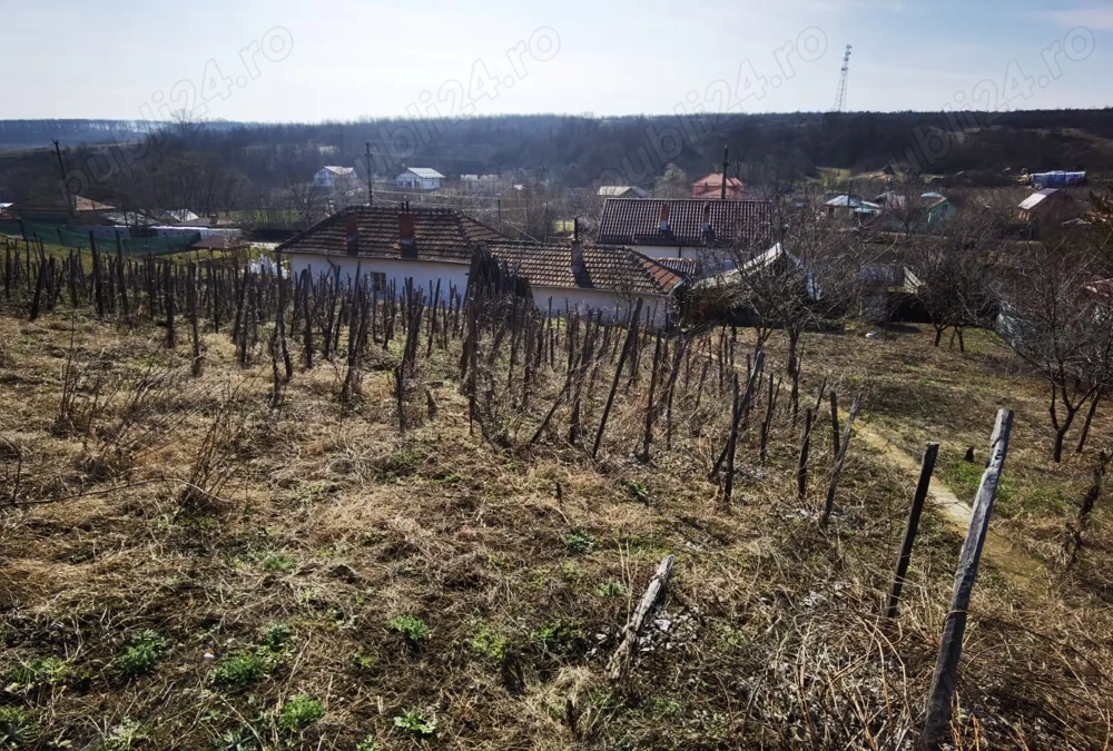 Vand - Casa cu teren(1511mp), Leamna de sus