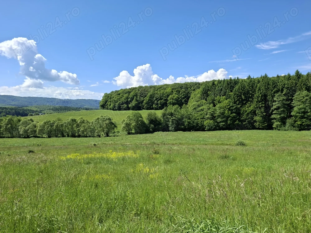 Vanzare teren Brasov